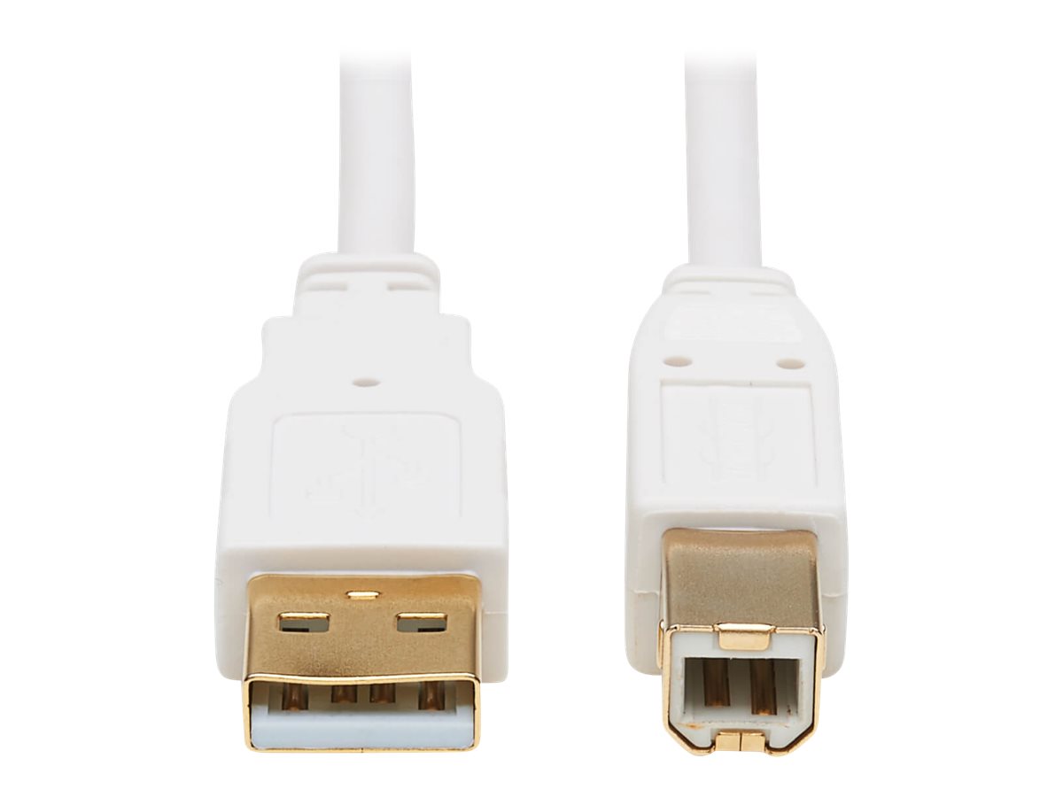Tripp Lite U022AB-006-WH cavo USB USB 2.0 1,83 m USB A USB B Bianco