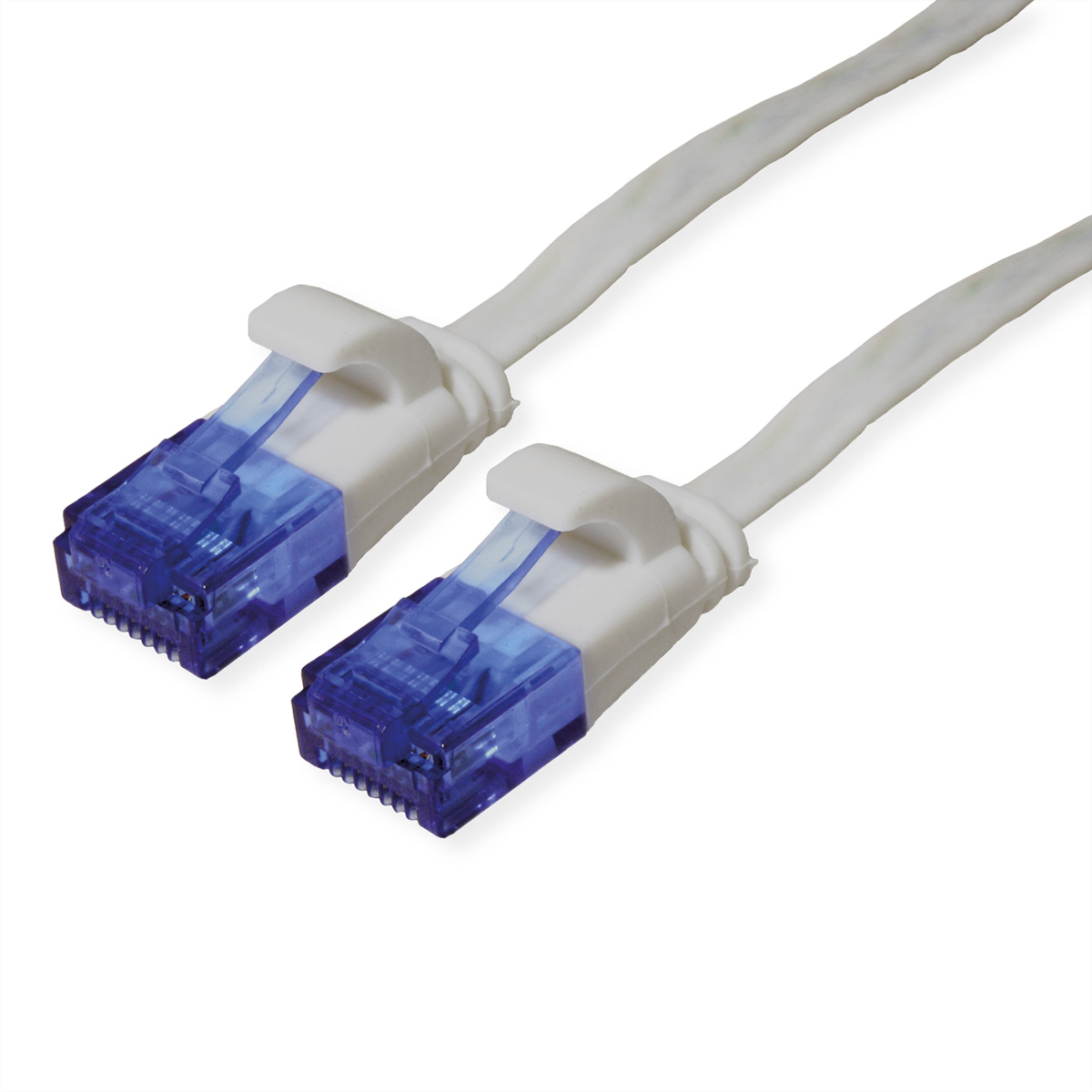 ROTRONIC-SECOMP VALUE - Patch-Kabel - RJ-45 (M) zu RJ-45 (M)