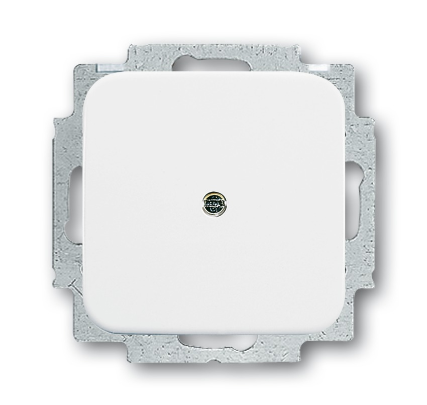 Busch-Jaeger 2538-214 accesorio de interruptor el�ctrico
