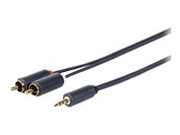 VivoLink Audiokabel - mini-phone stereo 3.5 mm mnnlich zu RCA mnnlich
