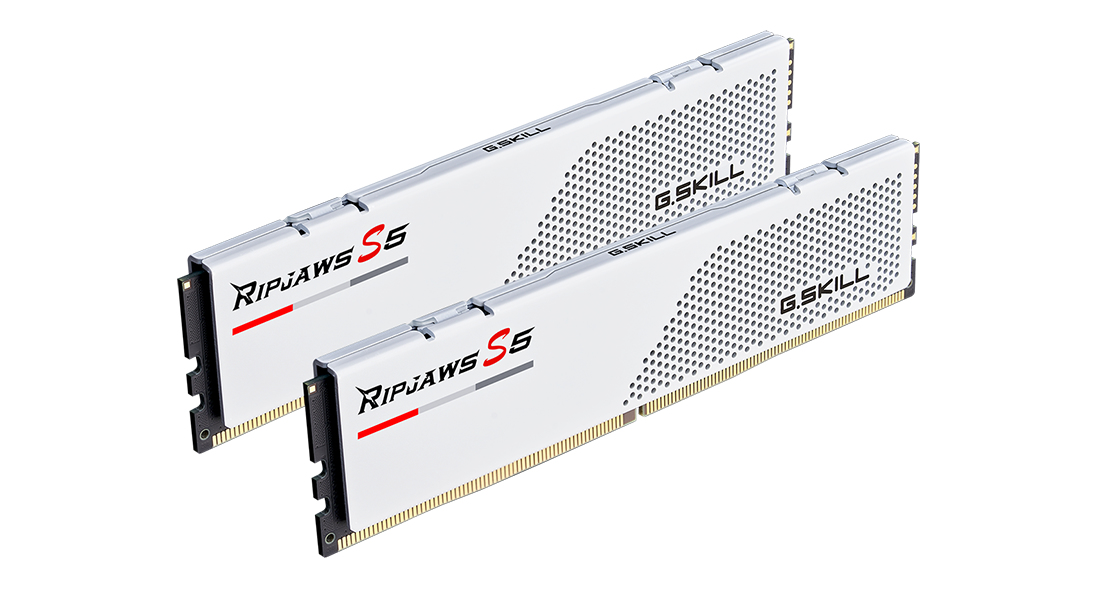 G.Skill Ripjaws S5 - DDR5 - Kit - 64 GB: 2 x 32 GB