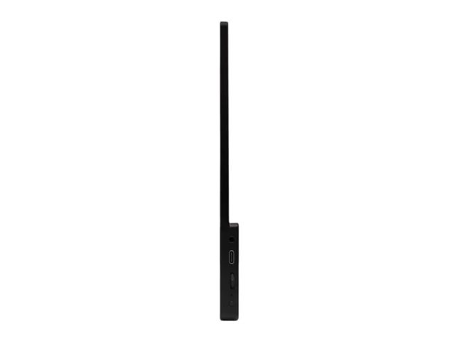 Acer PM161QT bmiuuux - PM1 Series - LCD-Monitor - 39.6 cm (15.6)