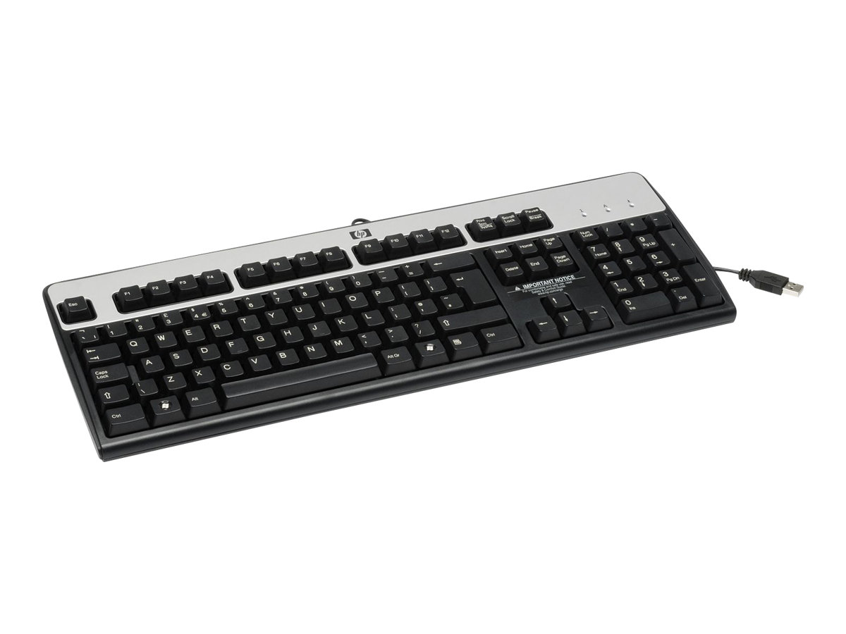 HP USB Standard Keyboard clavier