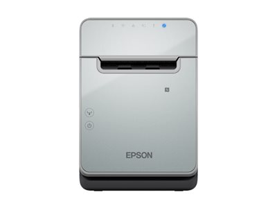 Epson TM L100 (103) - Belegdrucker - Thermozeile - Rolle (7,95 cm)