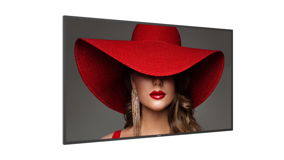 Philips D-Line 65BDL4650D 24/7/UHD/500cd Speditionsversand