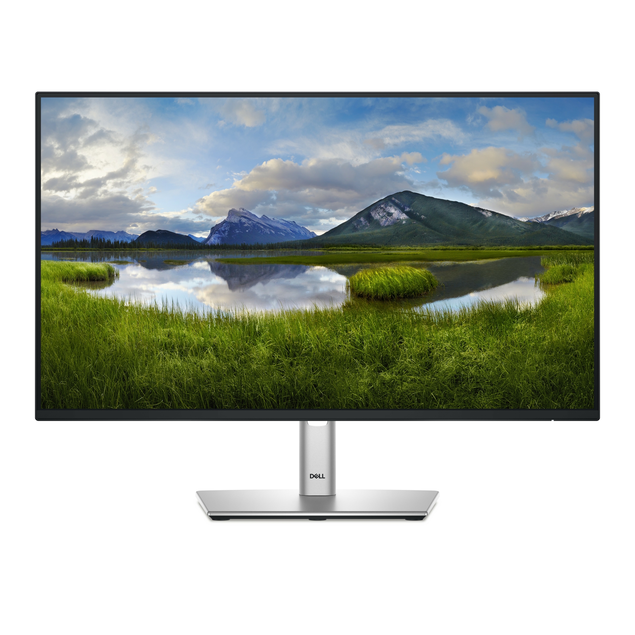 Dell P2425H - LED-Monitor - 61 cm (24) (23.81 sichtbar)