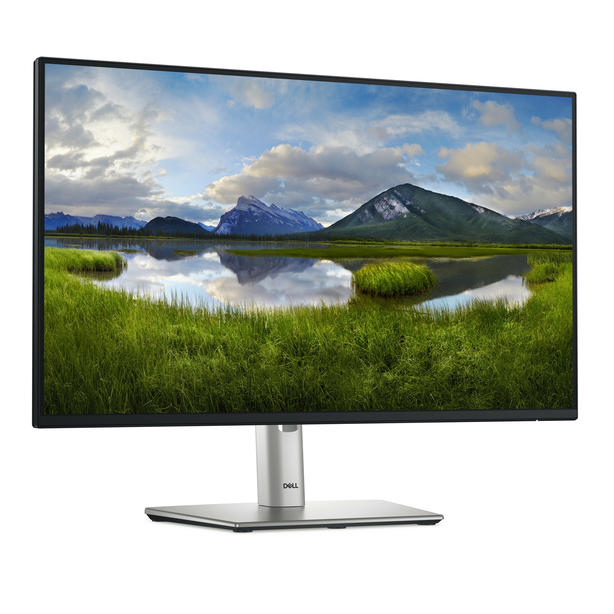 Dell P2425H - LED-Monitor - 61 cm (24) (23.81 sichtbar)
