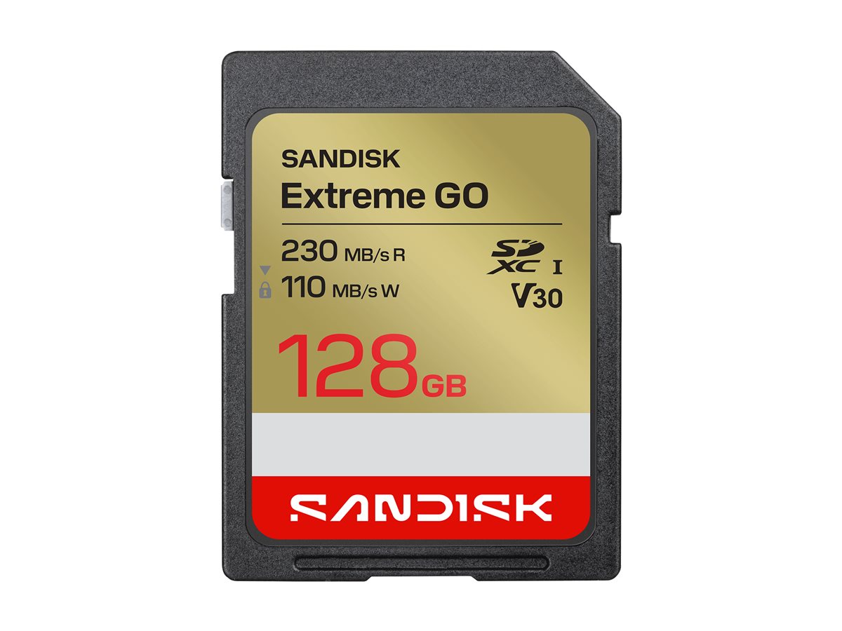 SanDisk Extreme Go - Flash-Speicherkarte - 128