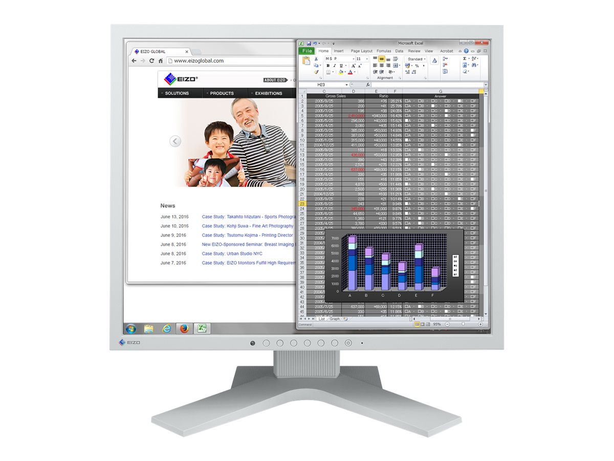 EIZO FlexScan S1934H - LED-Monitor - 48 cm (19)