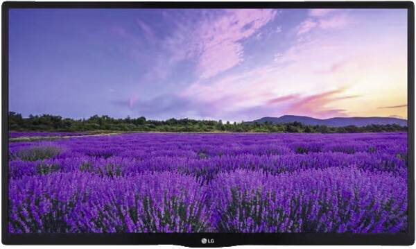 LG 24LN662V Televisor 61 cm (24) Smart TV Wifi Negro