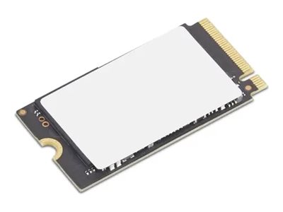 Lenovo SSD - verschlsselt - 1 TB - intern