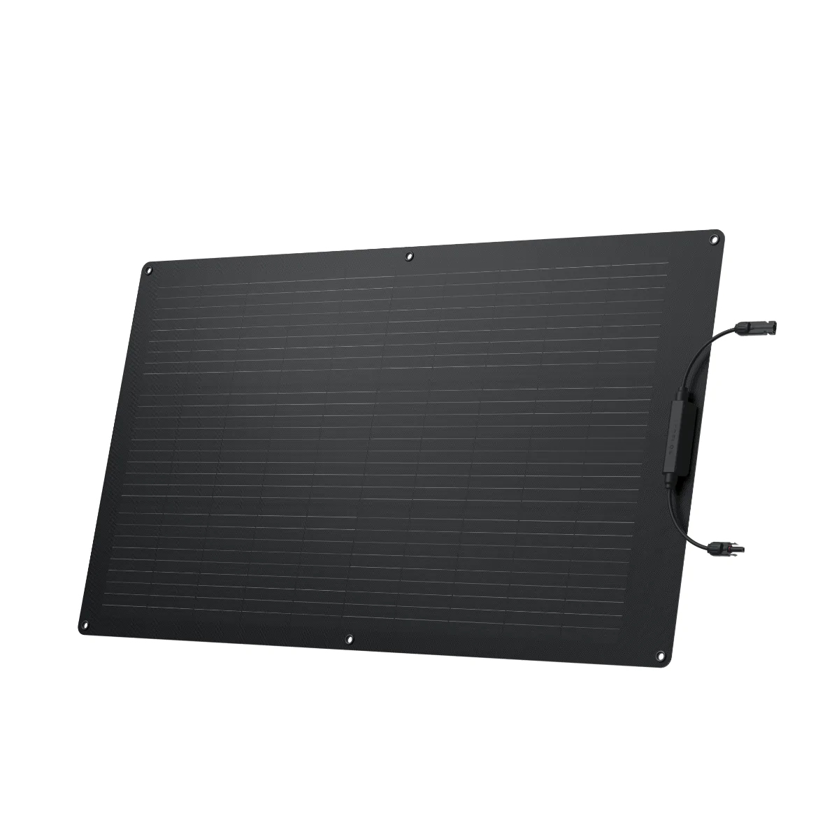 Ecoflow Saul?s panel? ECOFLOW 100W/5006001002