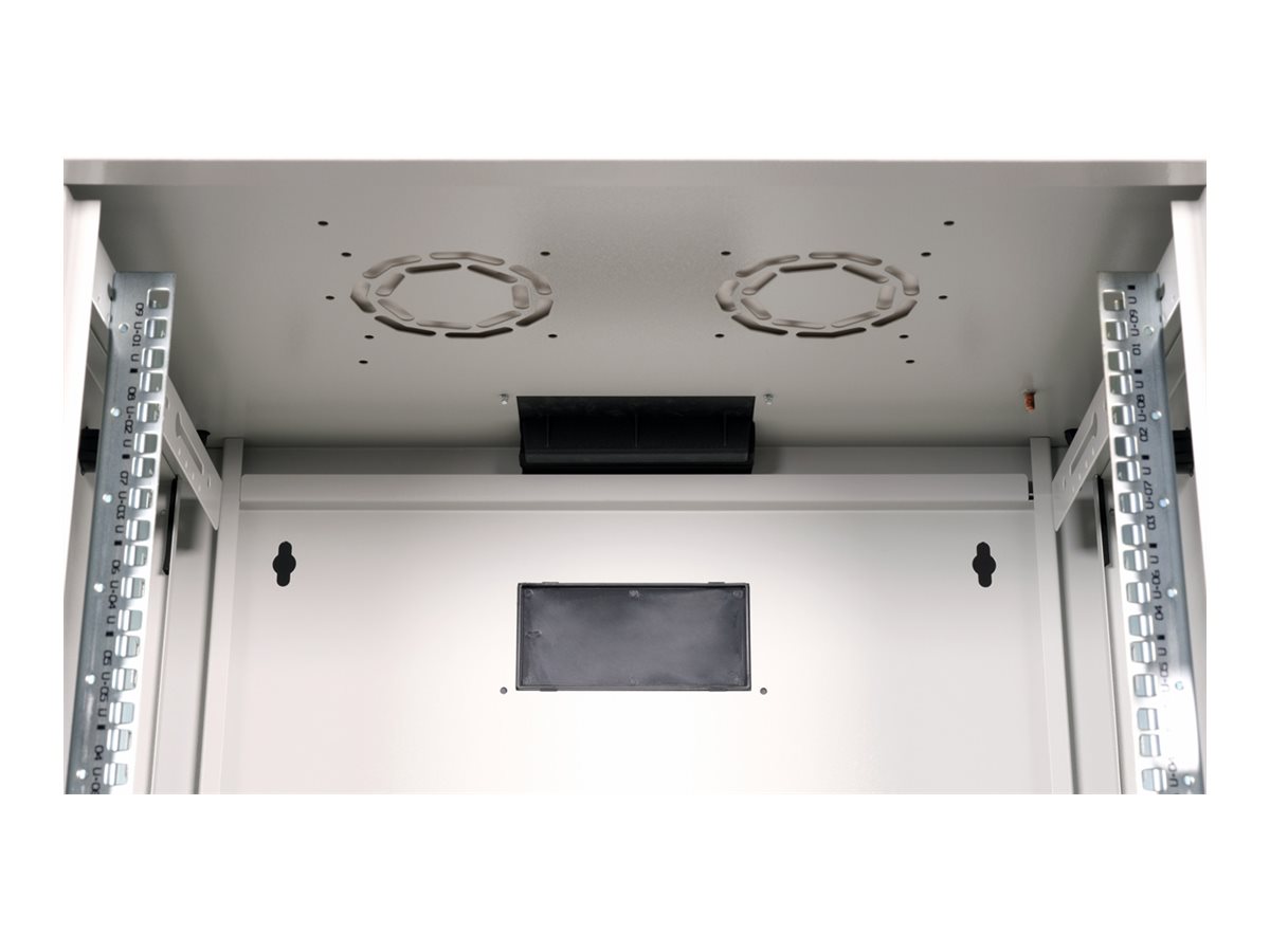 ROLINE Pro - Schrank Netzwerkschrank - 600 x 450 mm (T x B)