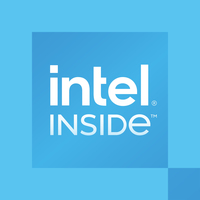 Intel PROCESSOR 300 3.90GHZ