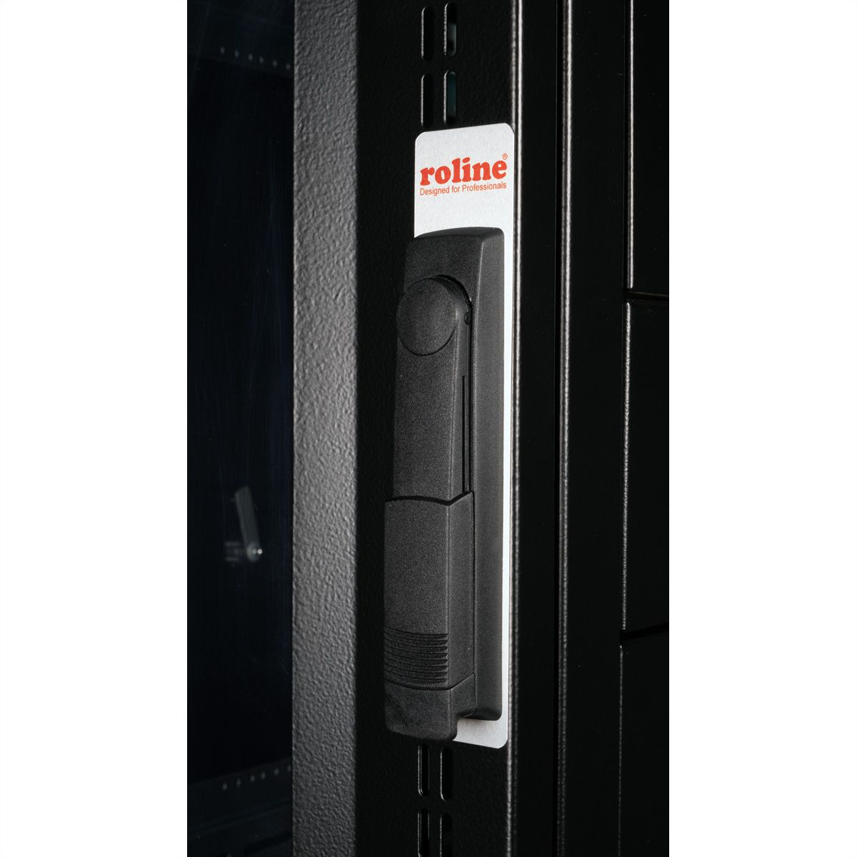 ROLINE 26.21.0162 rack 42U Rack indipendenti Nero