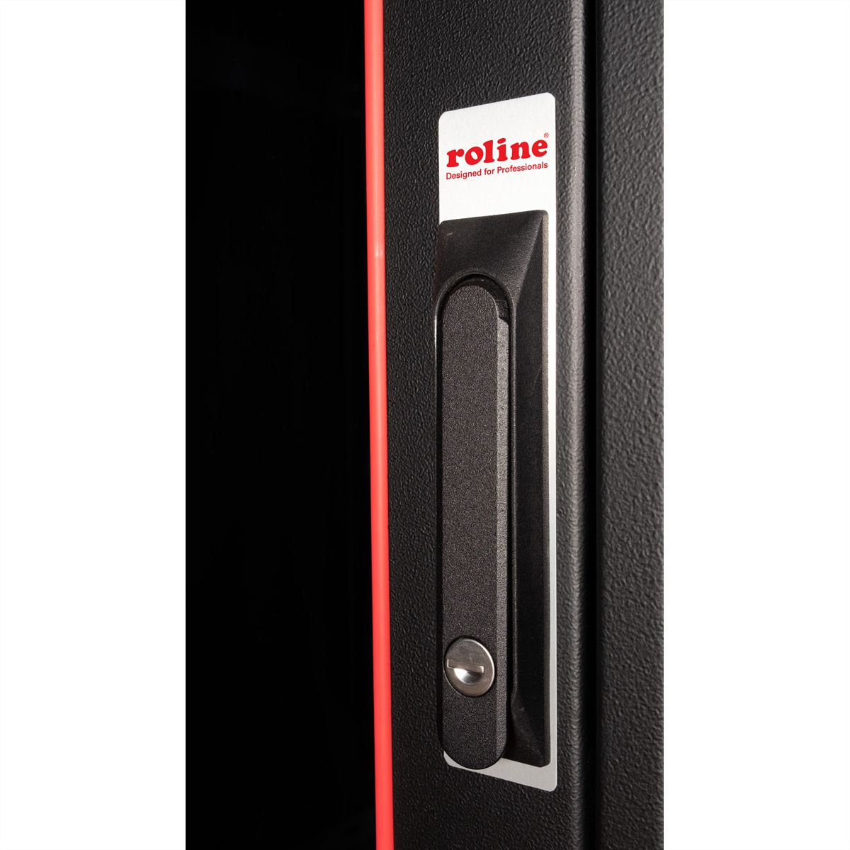 ROLINE Pro - Schrank Netzwerkschrank - mit Glast�r, 600 x 800 mm (B x T)