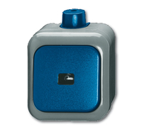 BUSCH JAEGER 2621 WDI - 1P - Grn - Grau - 250 V - 74 mm - 54 mm - 80 mm
