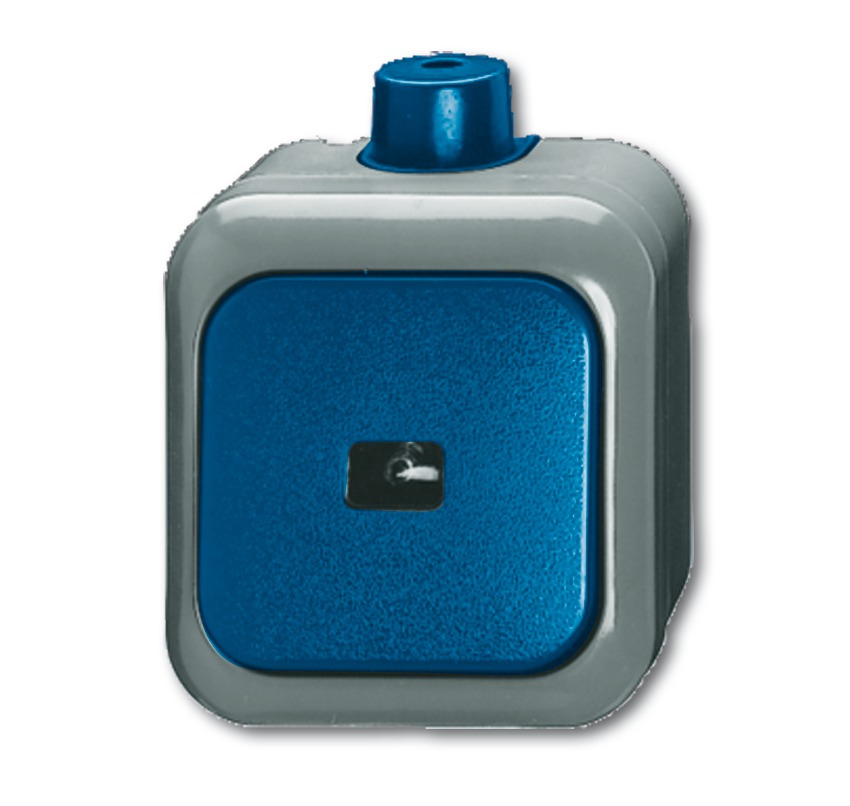BUSCH JAEGER 2621 WDI - 1P - Grn - Grau - 250 V - 74 mm - 54 mm - 80 mm