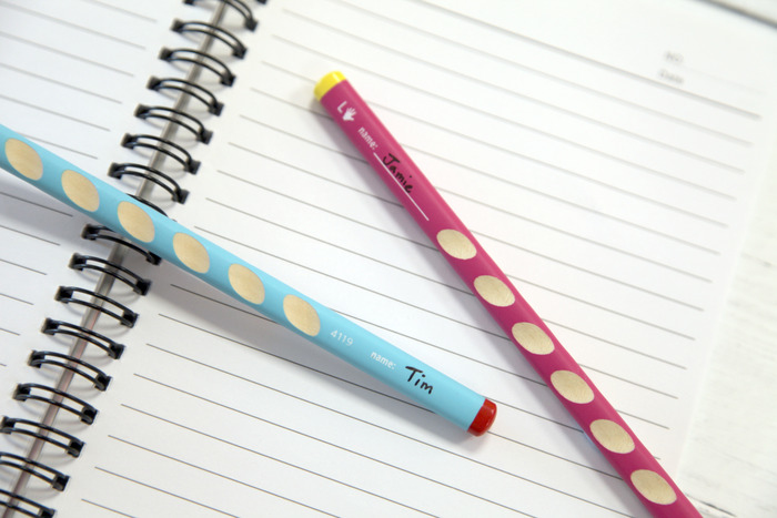 STABILO EASYgraph HB 1 pi�ce(s)