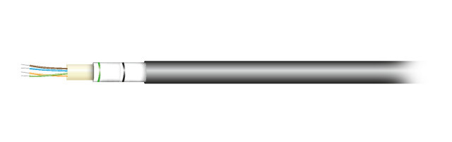 EFB Elektronik 54524.2L-CPR cable de fibra optica U-DQ(ZN) BH OM4 Negro