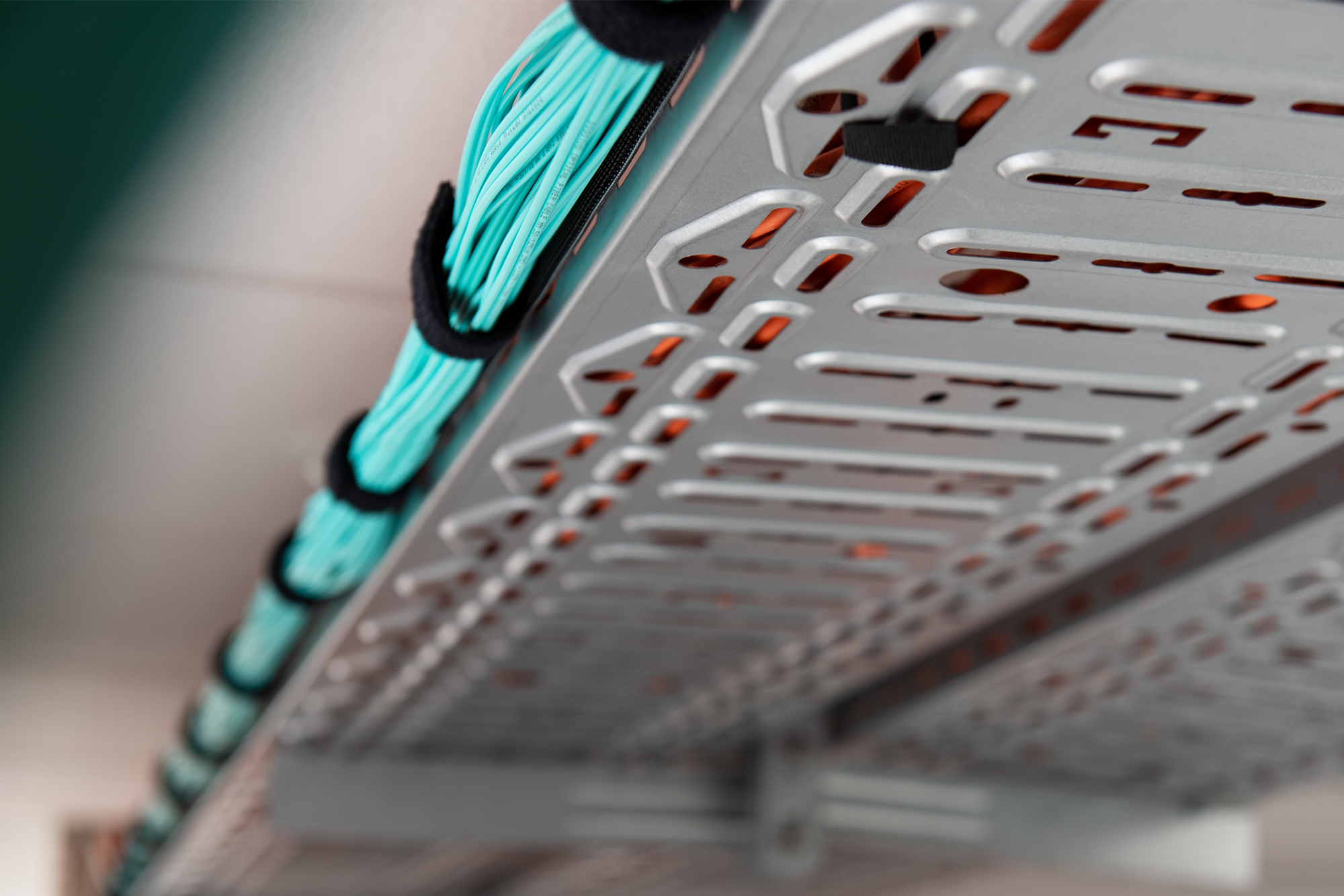 Digitus Hook and loop cable management system, mushroom fastener 5m, hook and loop tape 10m
