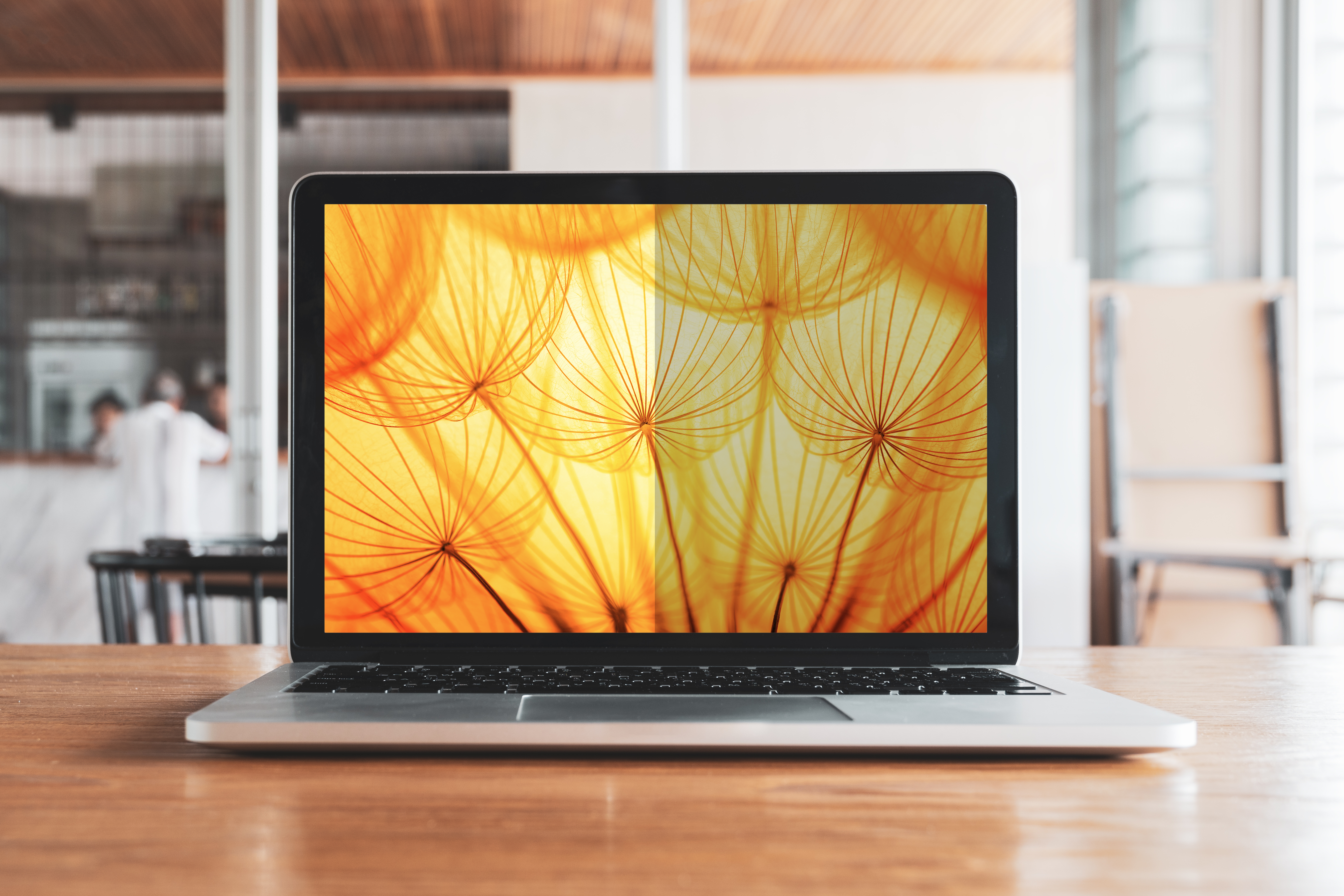 3M Filtro Privacy Bright Screen per Apple MacBook Air 15 M2-M4, 16:10, BPNAP007