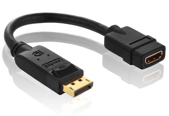 PureLink PureInstall PI155 - Videoanschlu� - DisplayPort (M)