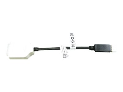 DELL DisplayPort/DVI-D Noir, Blanc