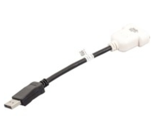 DELL DisplayPort/DVI-D Noir, Blanc