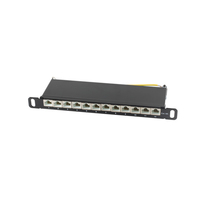 ShiverPeaks Slim Patchpanel Cat.6A 12-Port 0.5HE 10 - 12-Port - Slim-Geh�use