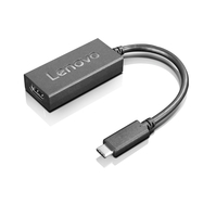 Lenovo GX90K37871 adattatore grafico USB Nero