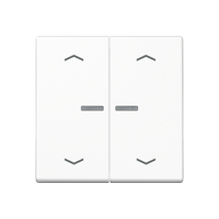 JUNG A102KO5PWW - Kunststoff - Schraubenlos - 1 St�ck(e)