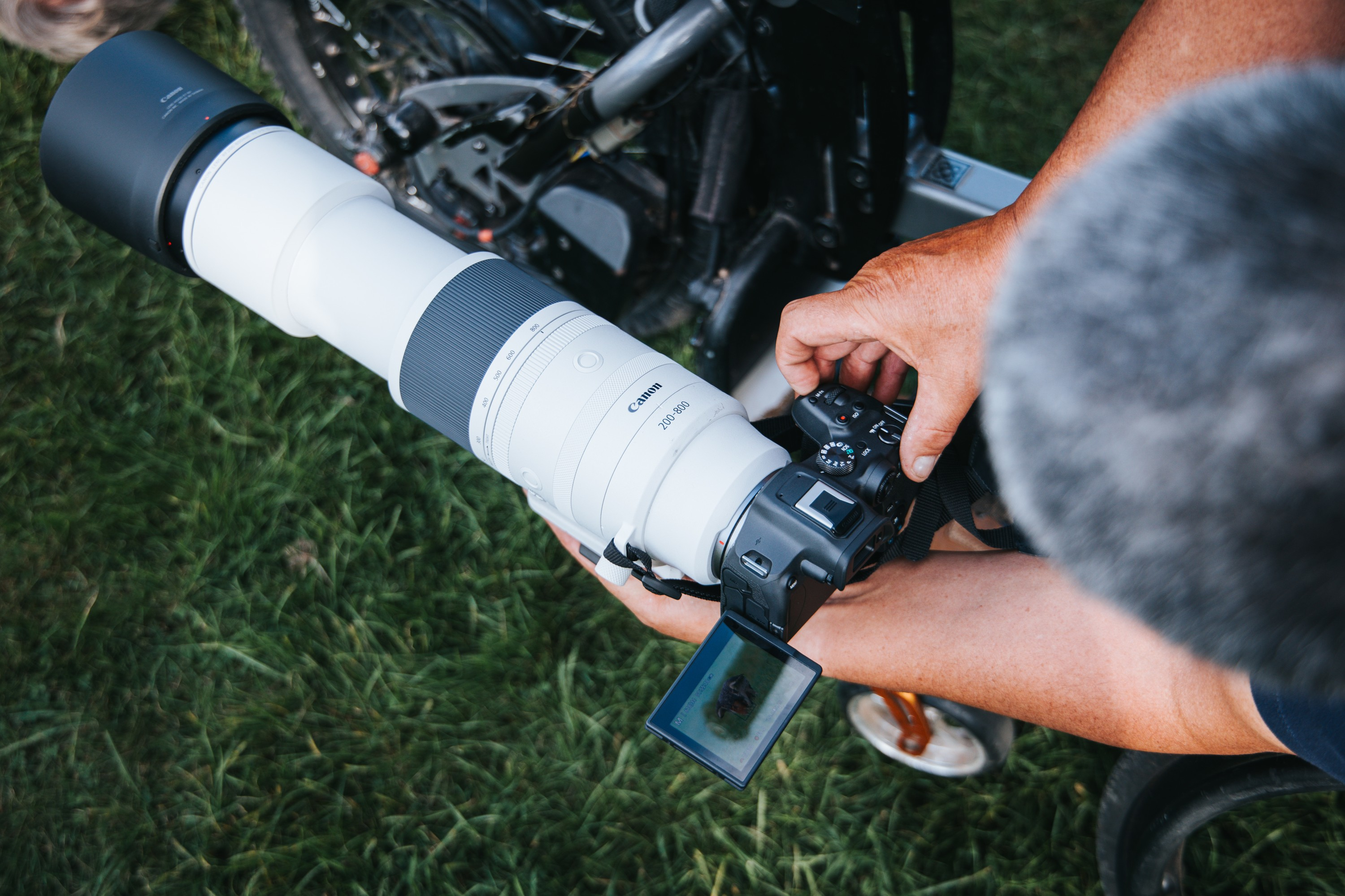 Canon RF 200-800mm F6.3-9 IS USM