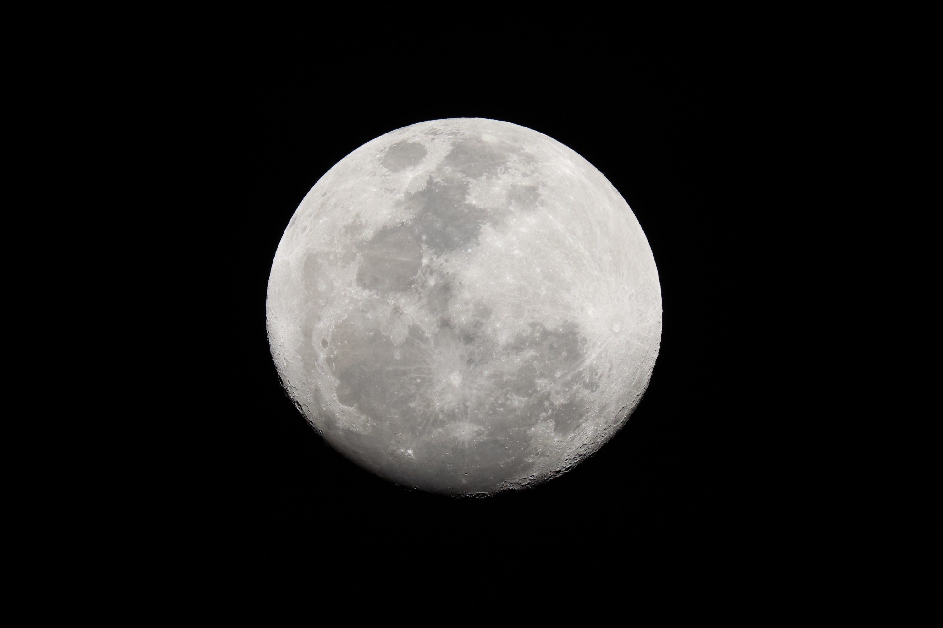 Canon RF 200-800mm F6.3-9 IS USM