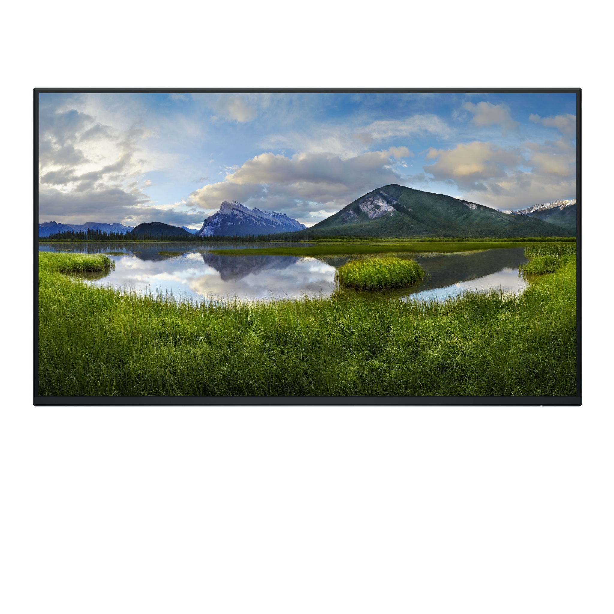 Dell P2725H - Ohne Standfu� - LED-Monitor - 68.6 cm (27)