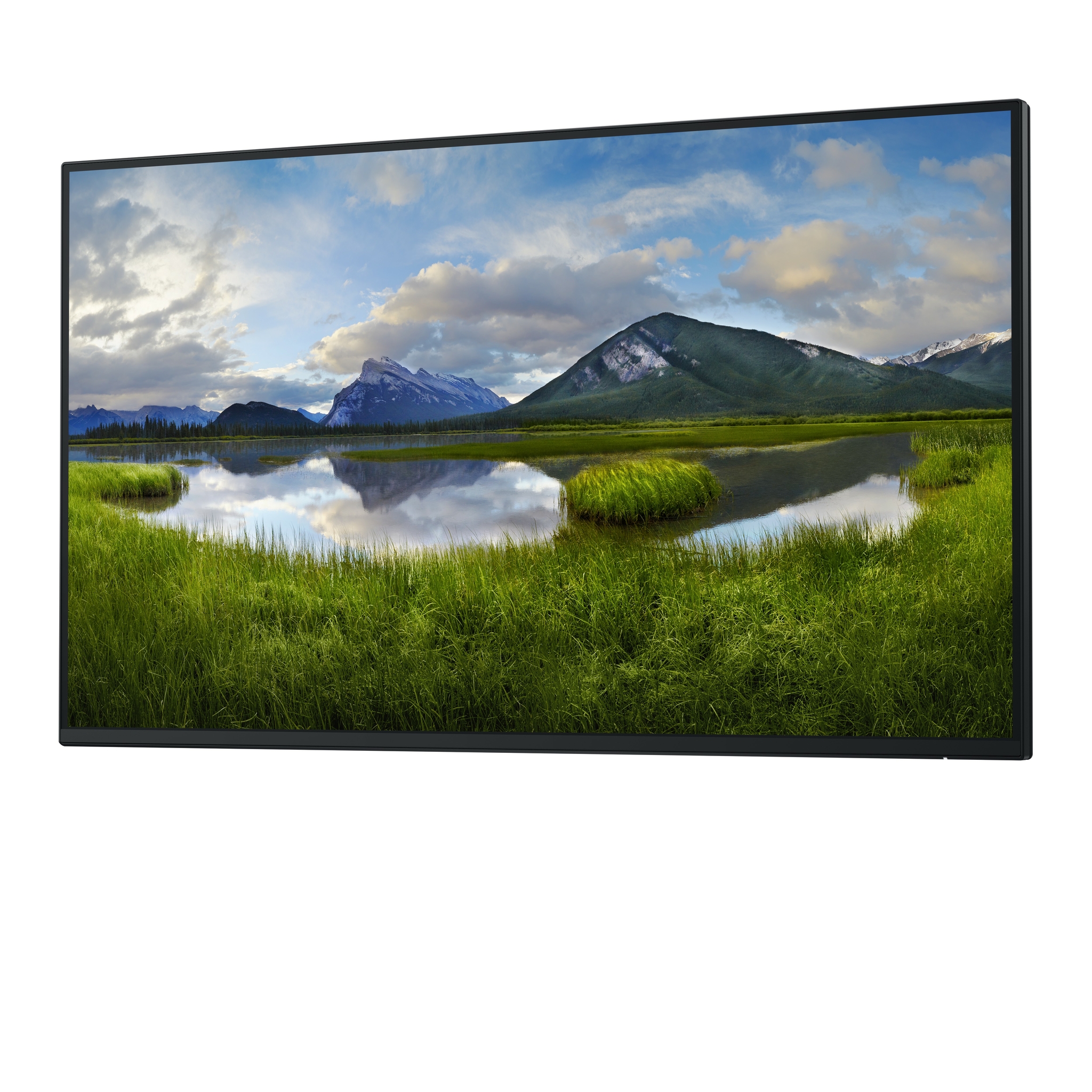 Dell P2725H - Ohne Standfu� - LED-Monitor - 68.6 cm (27)