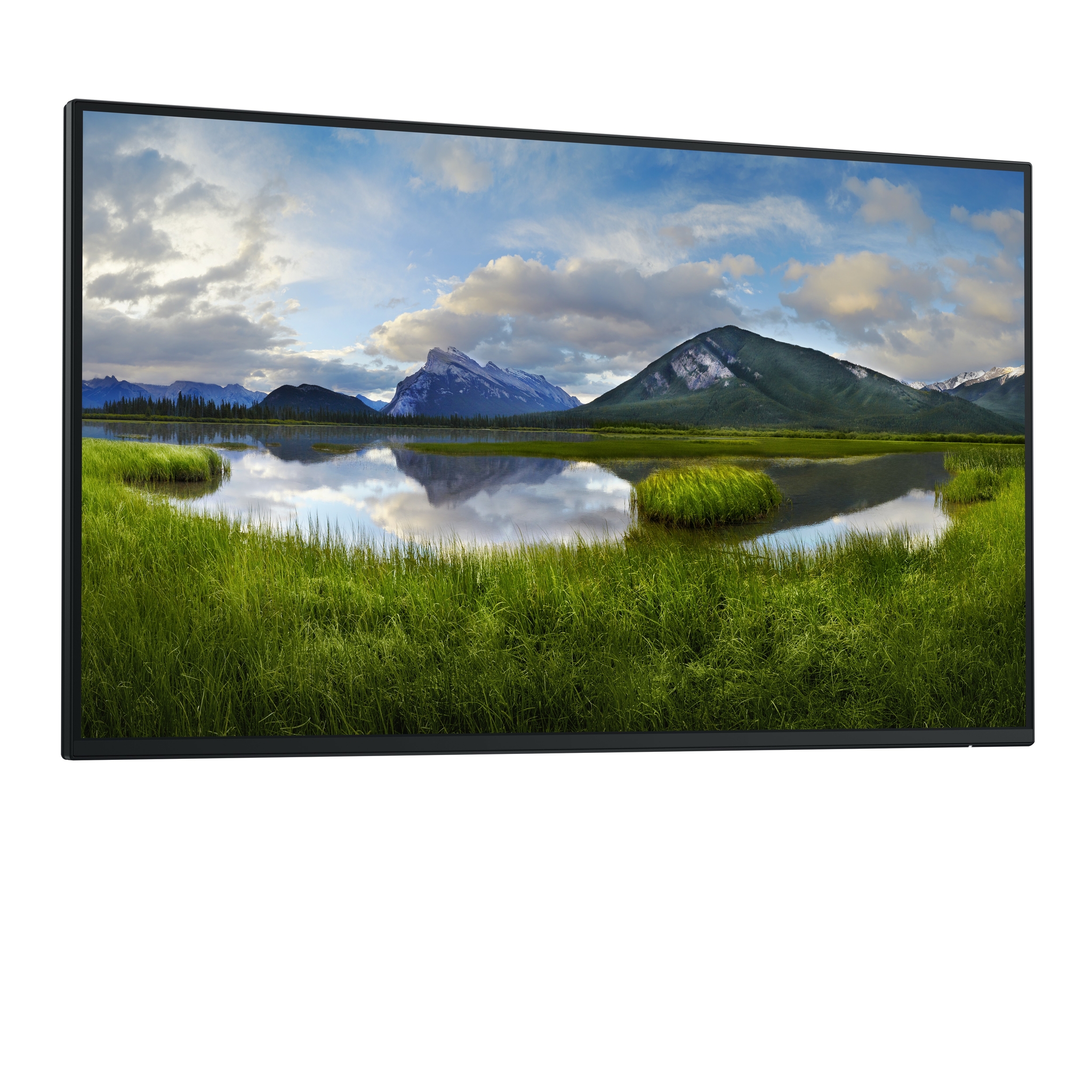 Dell P2725H - Ohne Standfu� - LED-Monitor - 68.6 cm (27)