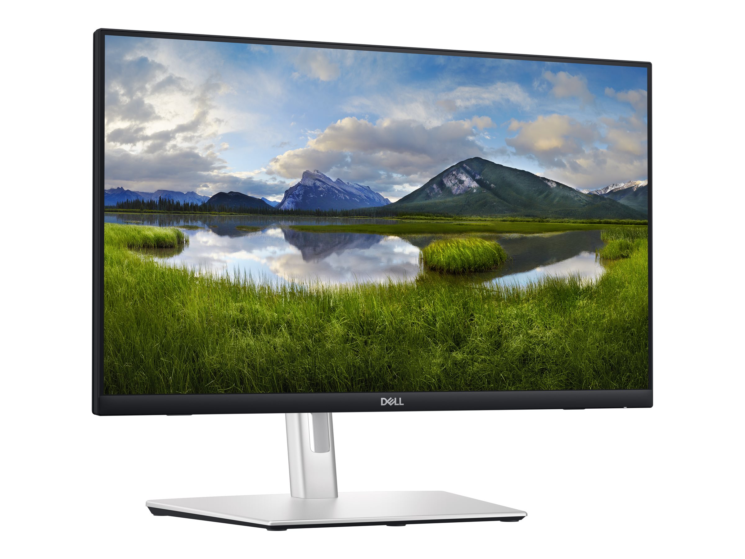 Dell P2424HT - LED-Monitor - 61 cm (24) (23.8 sichtbar)