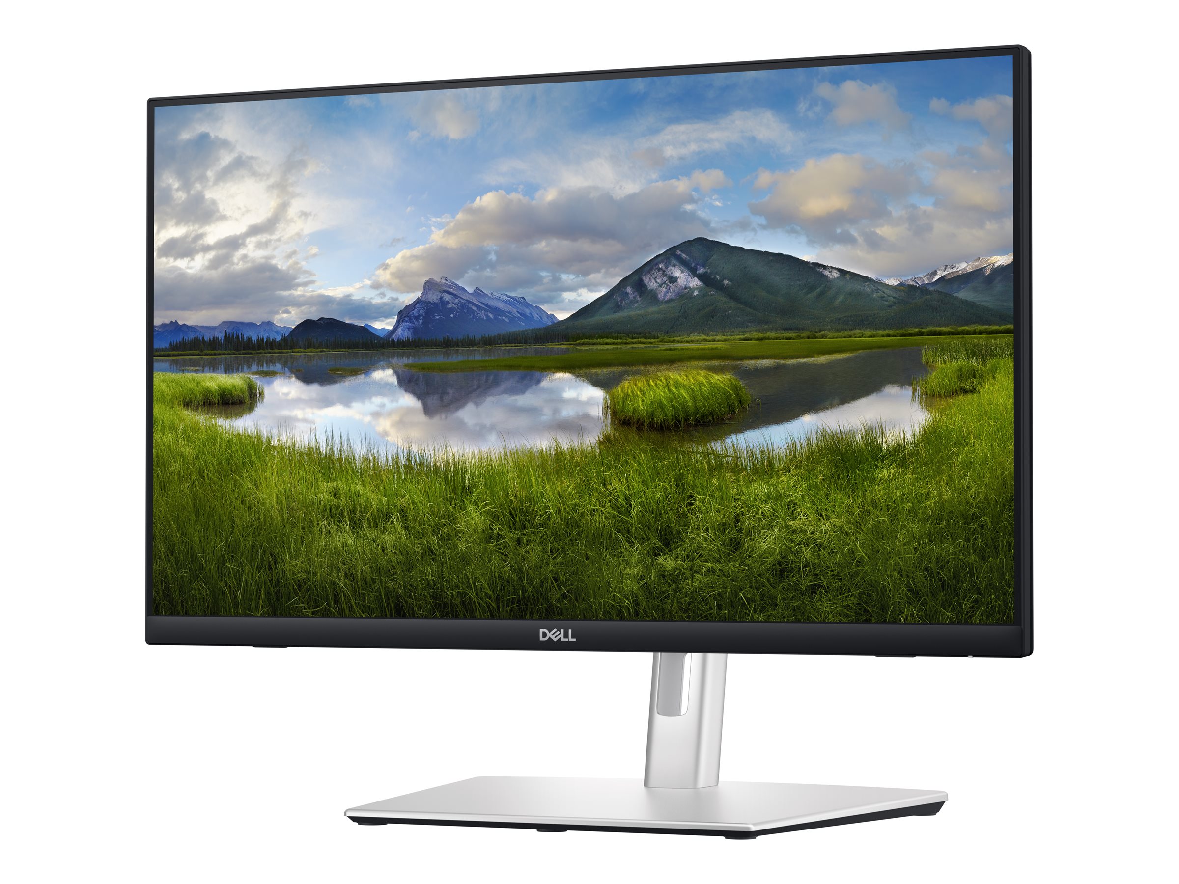 Dell P2424HT - LED-Monitor - 61 cm (24) (23.8 sichtbar)