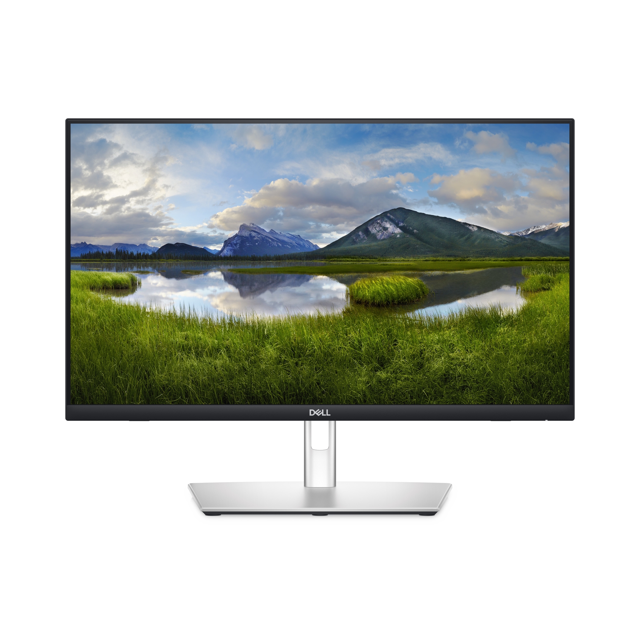 Dell P2424HT - LED-Monitor - 61 cm (24) (23.8 sichtbar)