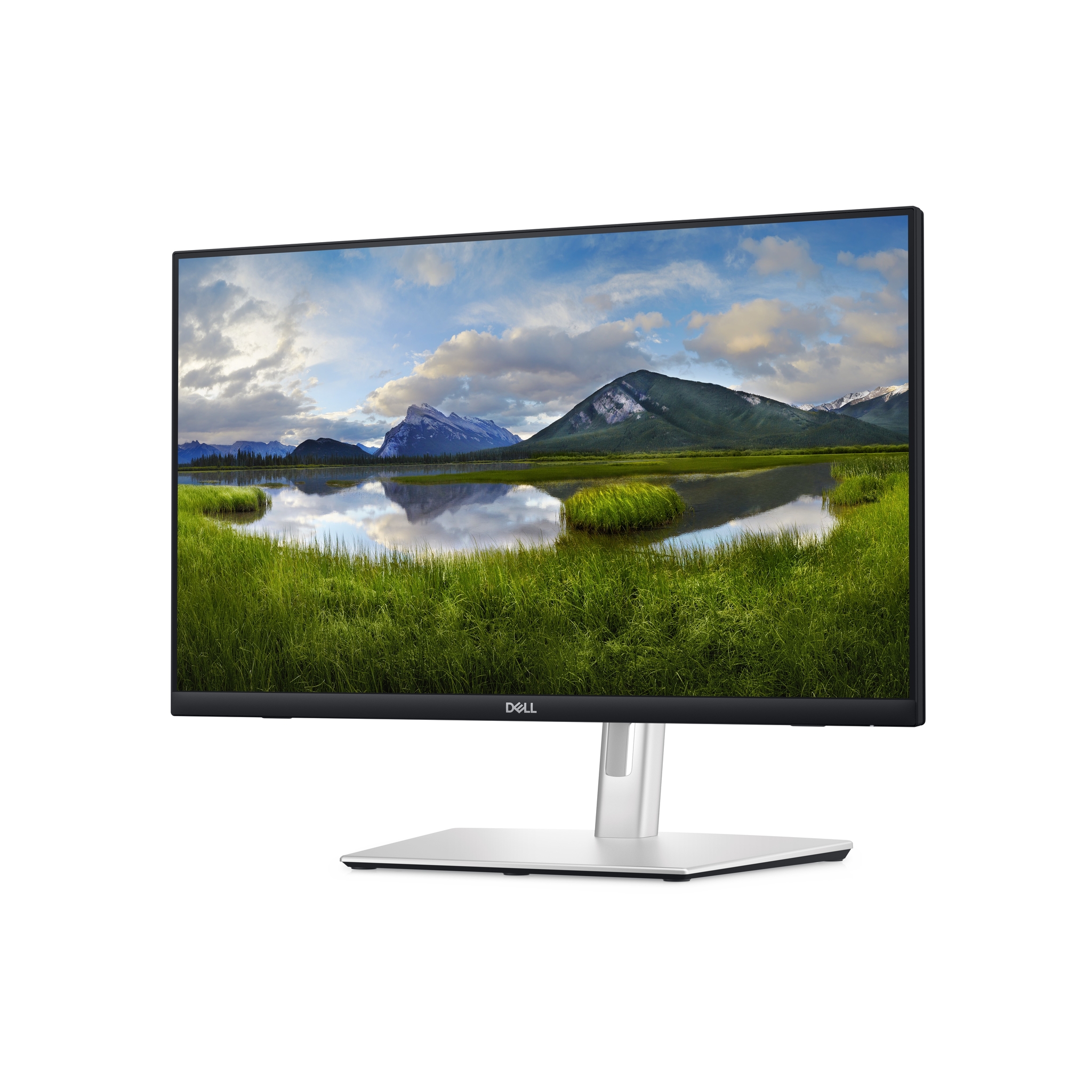 Dell P2424HT - LED-Monitor - 61 cm (24) (23.8 sichtbar)