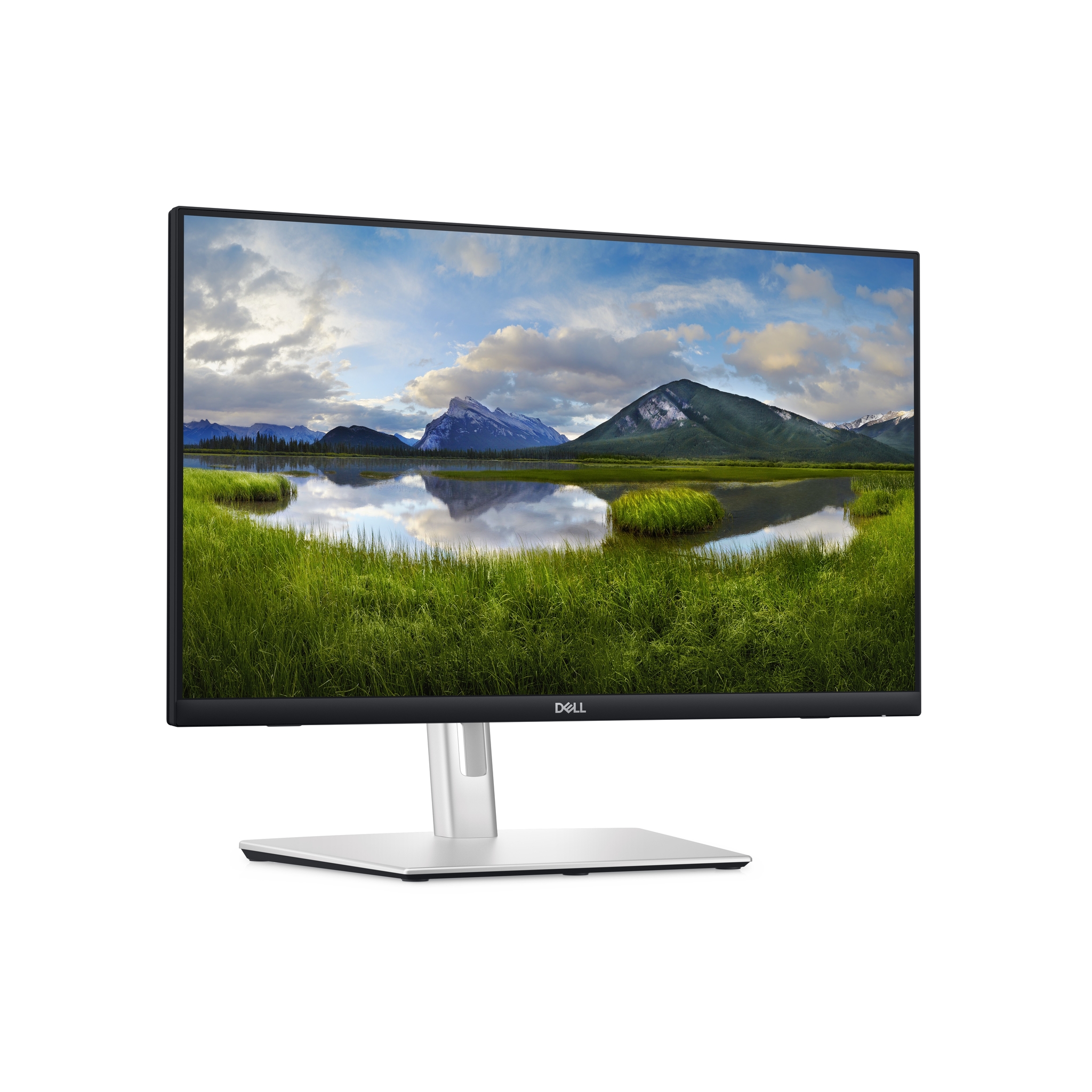 Dell P2424HT - LED-Monitor - 61 cm (24) (23.8 sichtbar)