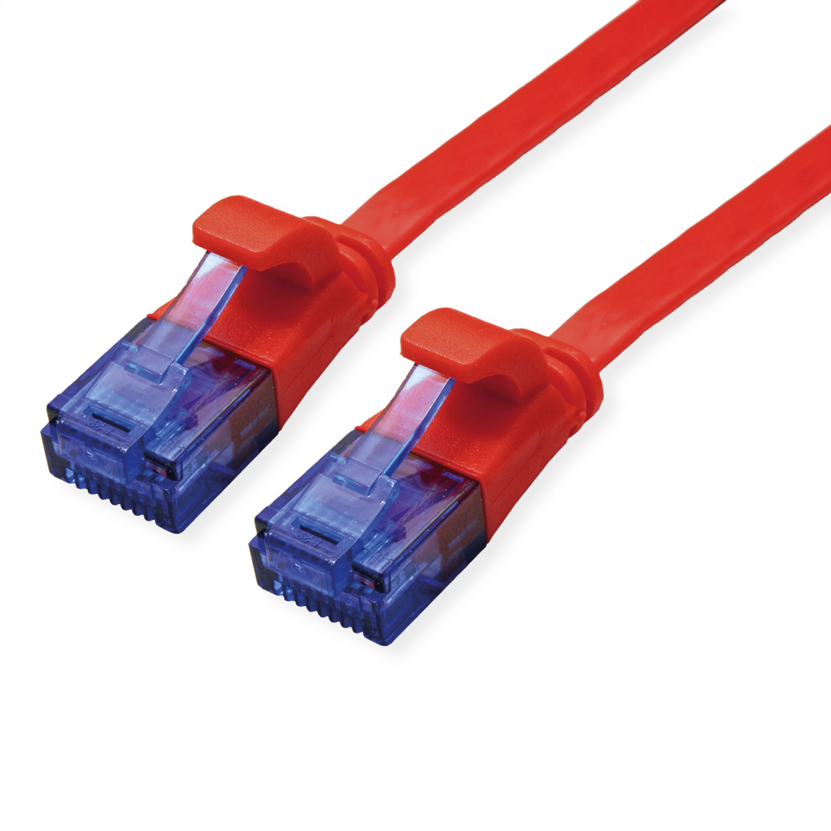 ROTRONIC-SECOMP VALUE - Patch-Kabel - RJ-45 (M) zu RJ-45 (M)