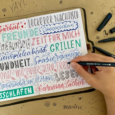 Schneider Schreibger�te Pictus fineliner Black, Blue, Green, Red 5 pc(s)