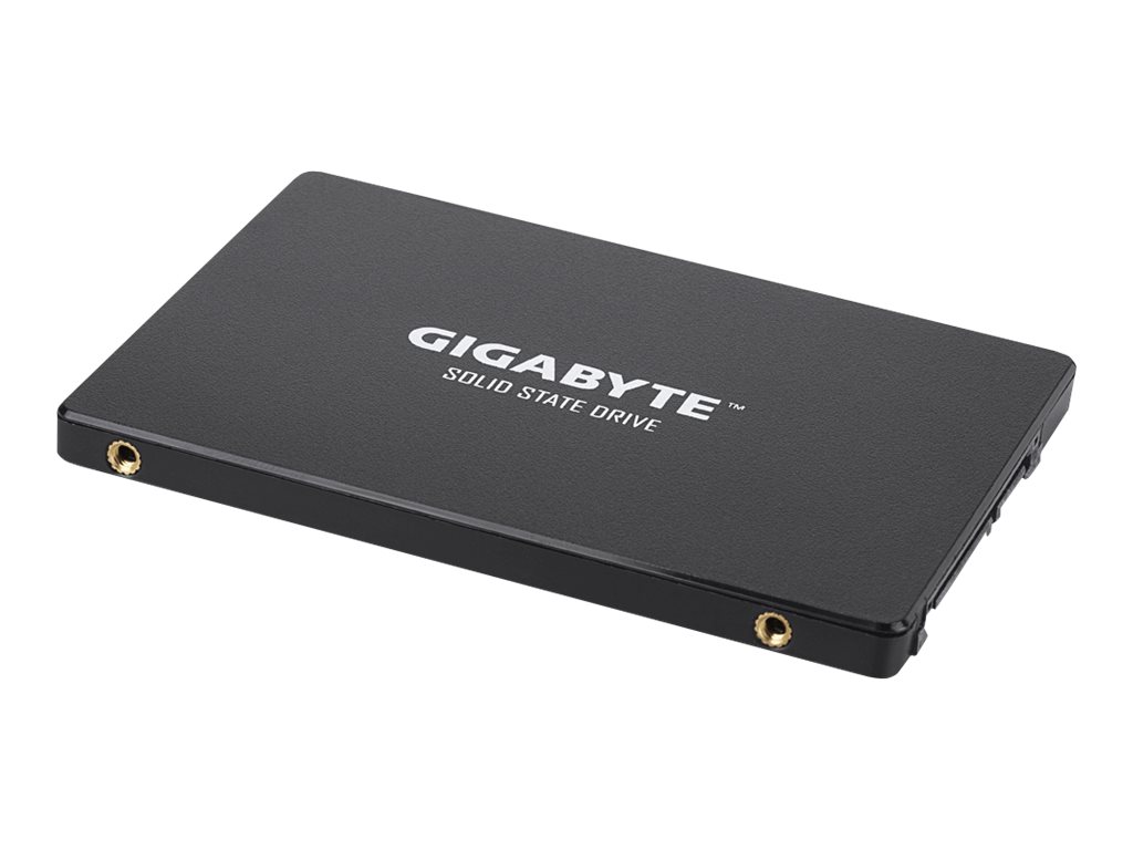 Gigabyte GP-GSTFS31256GTND drives allo stato solido 2.5 256 GB Serial ATA III V-NAND