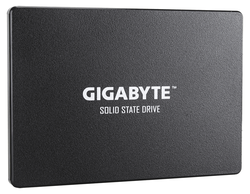 Gigabyte GP-GSTFS31256GTND drives allo stato solido 2.5 256 GB Serial ATA III V-NAND