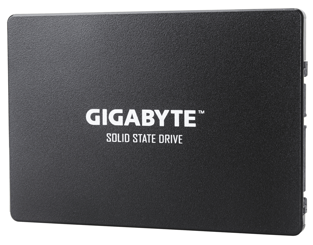 Gigabyte GP-GSTFS31256GTND drives allo stato solido 2.5 256 GB Serial ATA III V-NAND