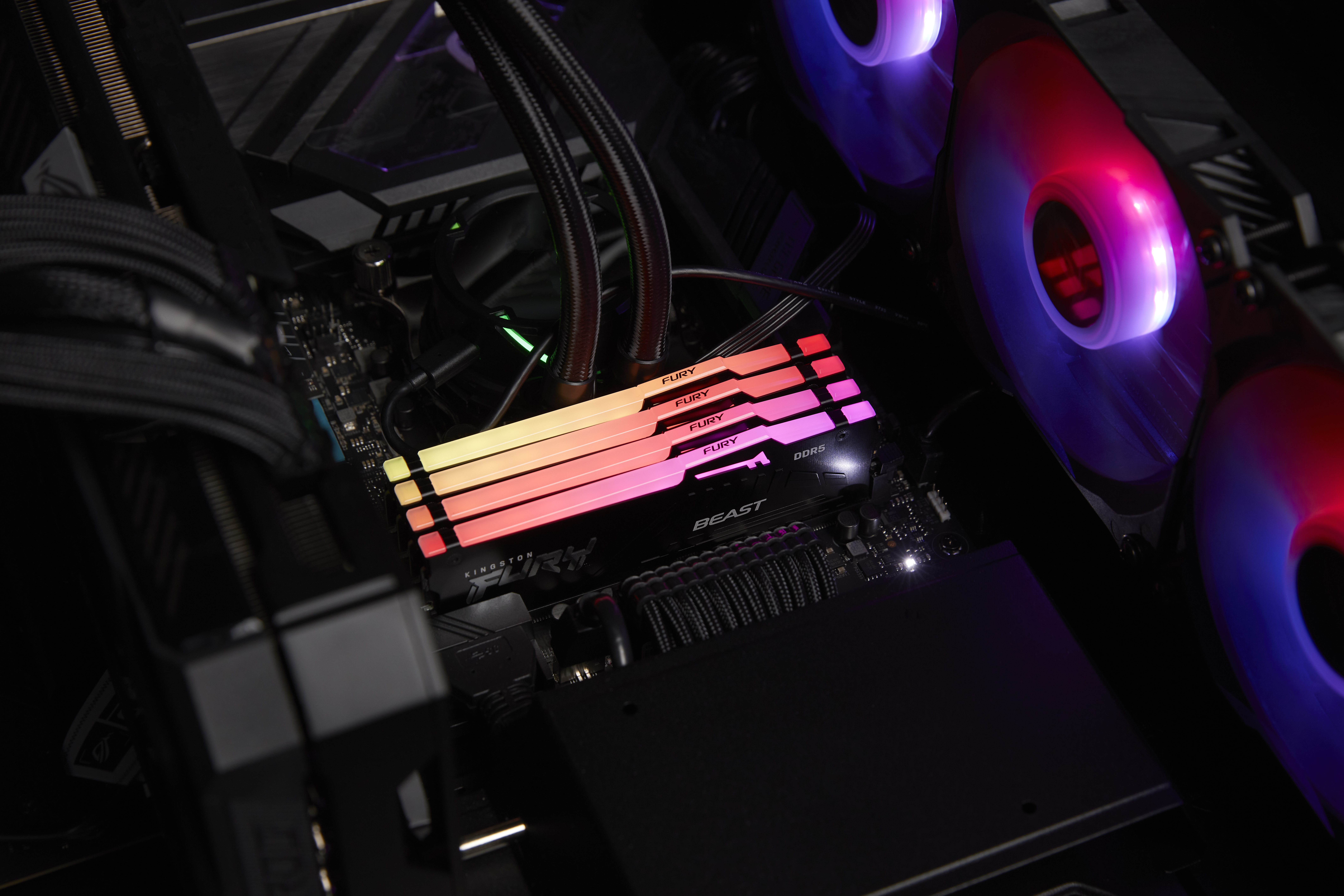 Kingston FURY Beast RGB - DDR5 - Kit - 128 GB: 2 x 64 GB