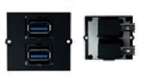 Bachmann 917.059 prise de courant 2 x USB A Noir