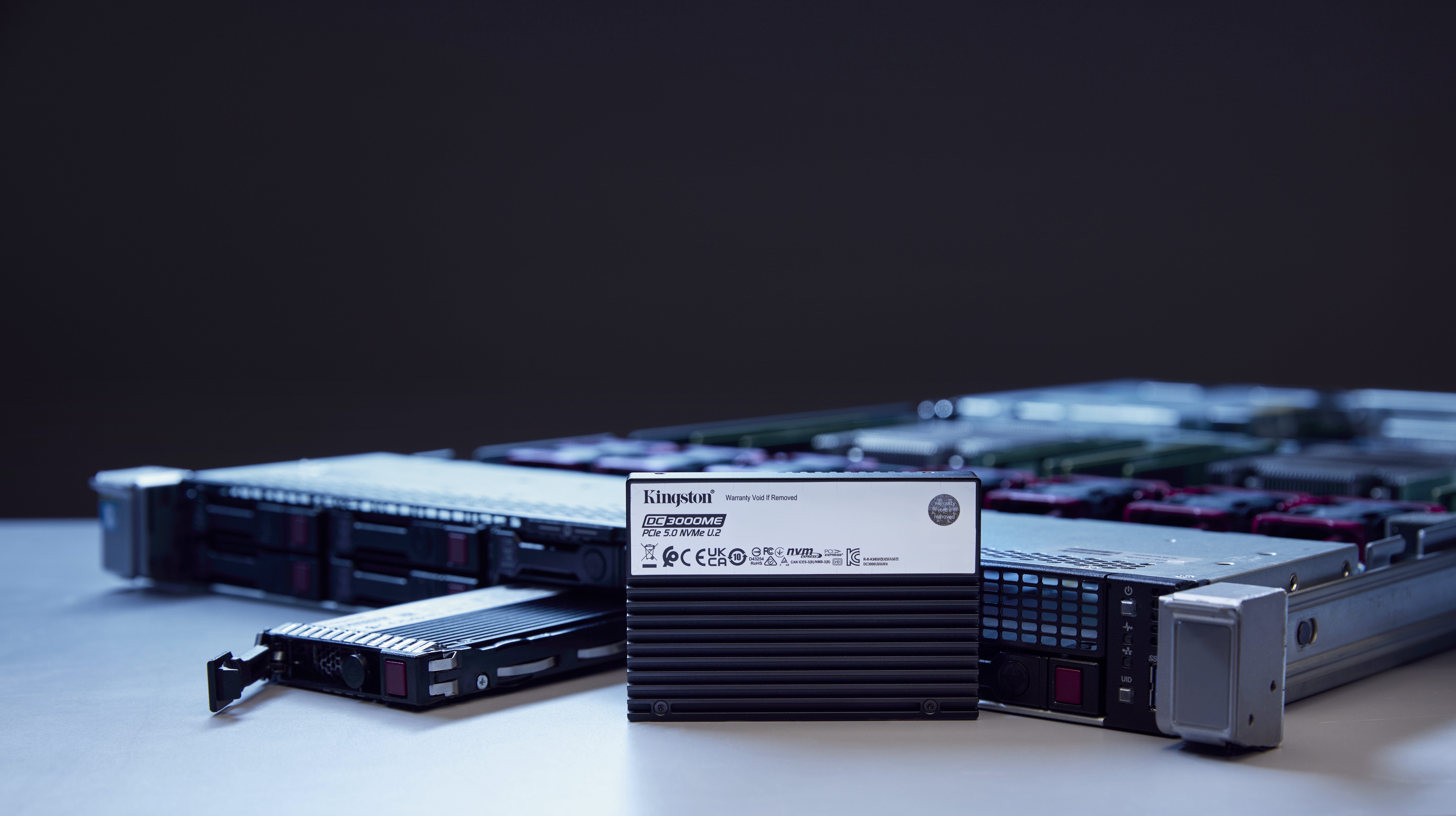 Kingston Technology 30,7TB DC3000ME U.2 PCIe 5.0 NVMe TCG Opal SSD para empresas